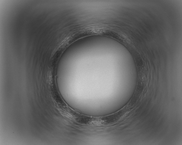 X0000067500595200604211727