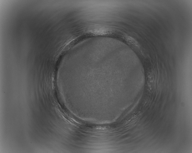 X0000067500596200604211727