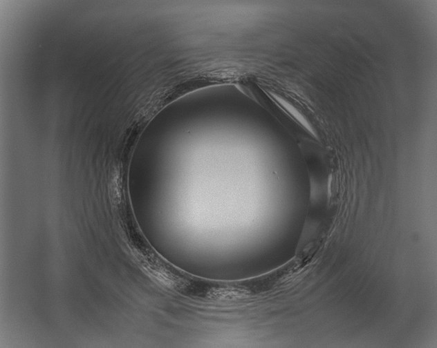 X0000067500597200604211727