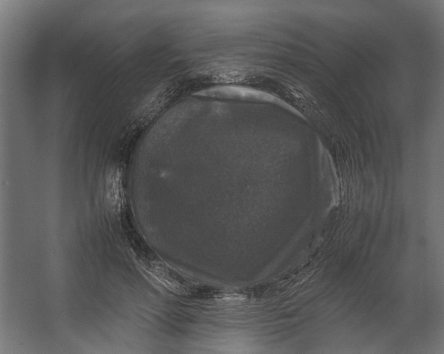 X0000067500598200604211727