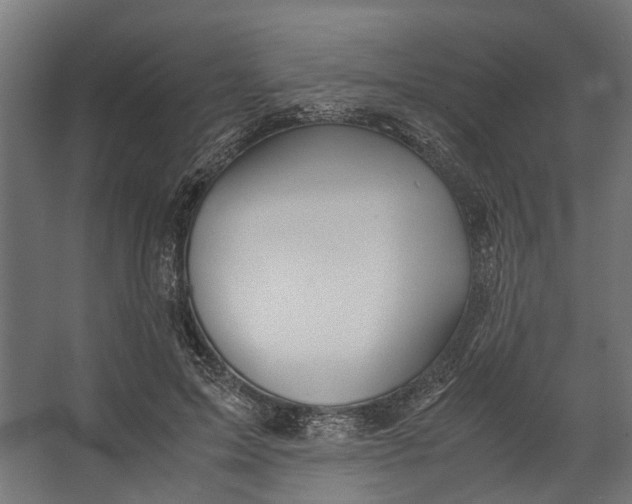 X0000067500599200604211727