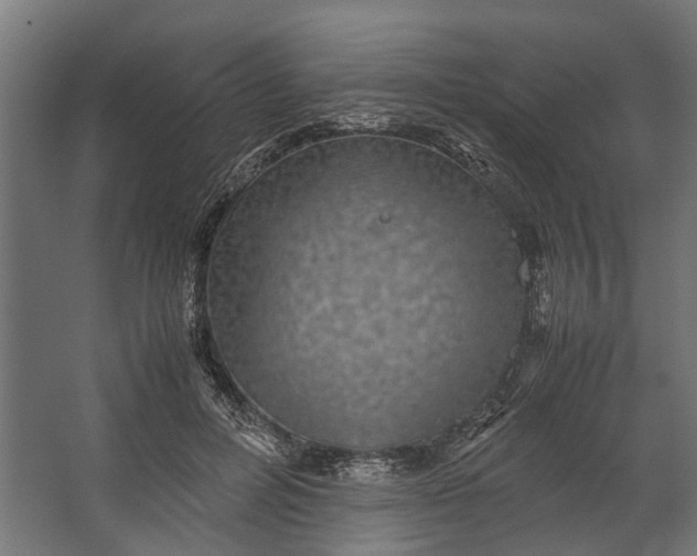 X0000067500600200604211727