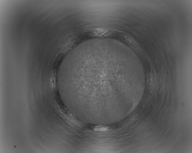 X0000067500602200604211727