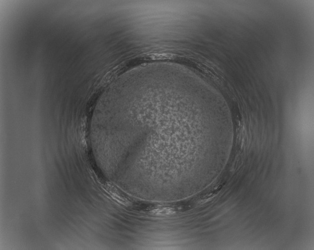 X0000067500604200604211727