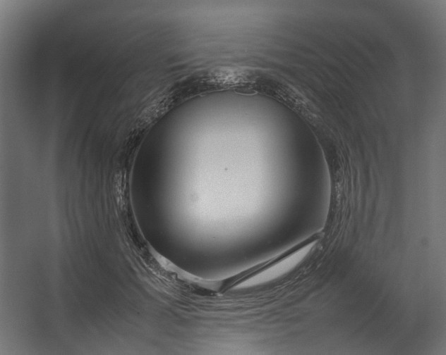 X0000067500605200604211727