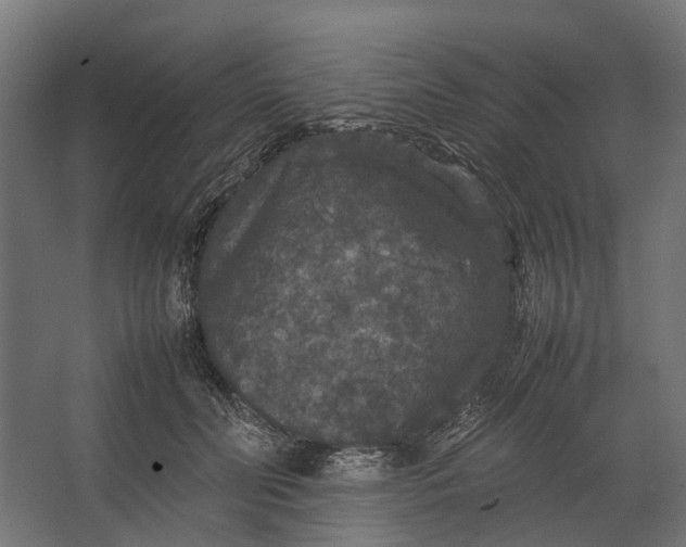 X0000067500606200604211727