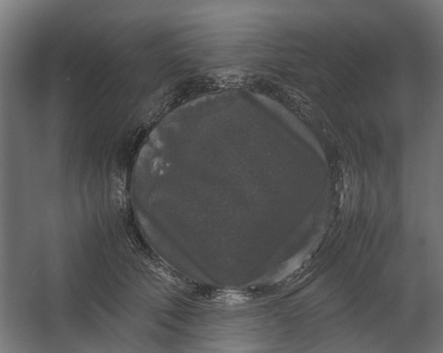 X0000067500610200604211727