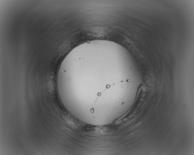 X0000067500612200604211727