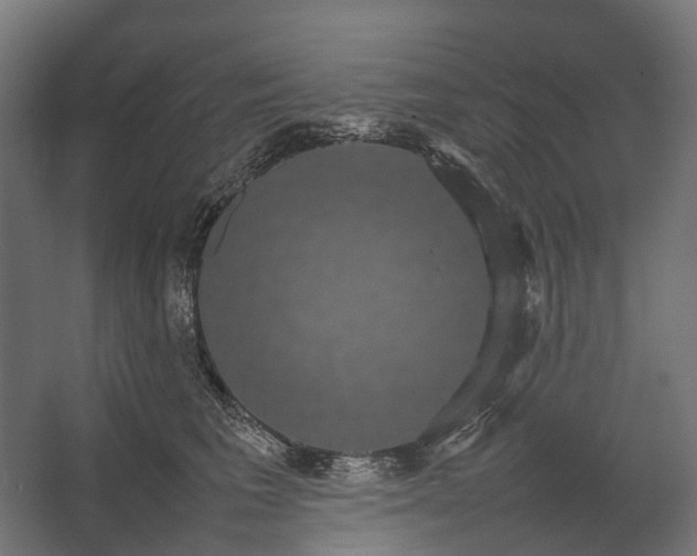 X0000067500613200604211727