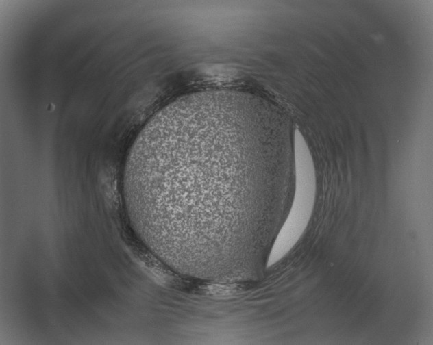 X0000067500615200604211727