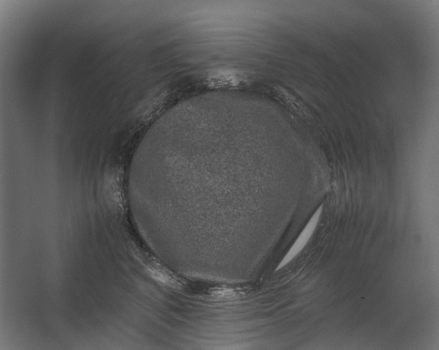 X0000067500616200604211727