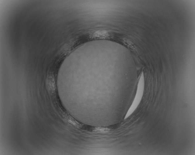 X0000067500617200604211727