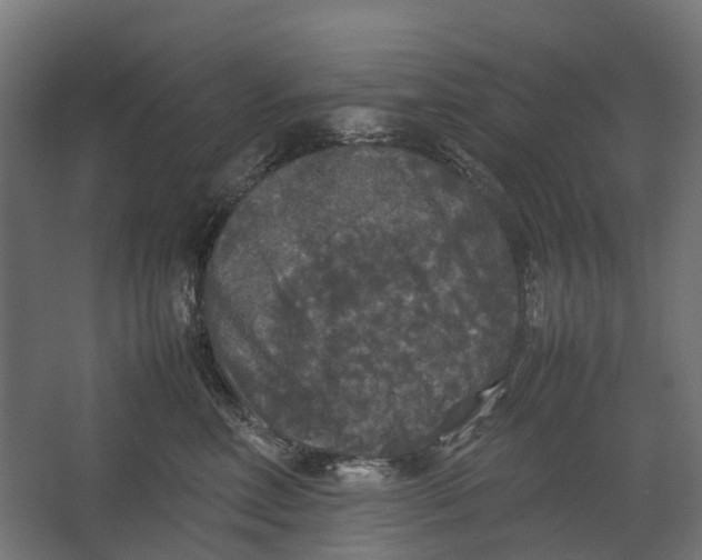 X0000067500618200604211726