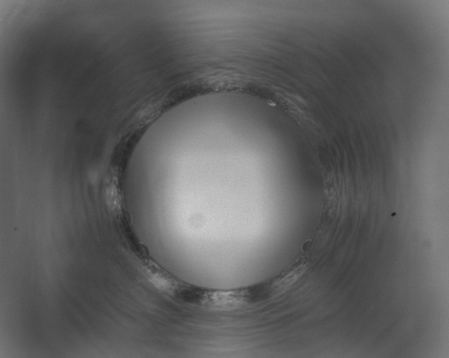 X0000067500622200604211726