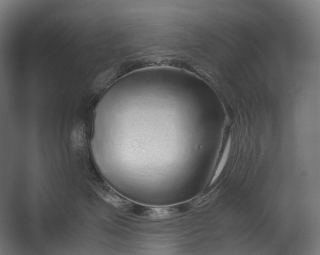 X0000067500623200604211726