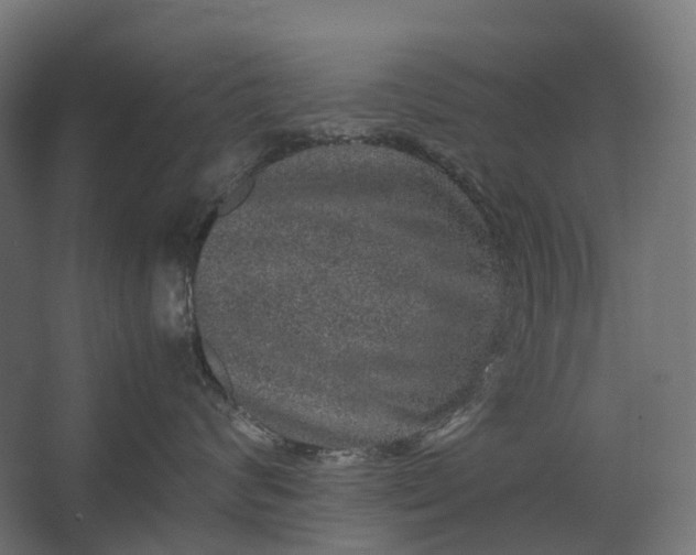 X0000067500624200604211726