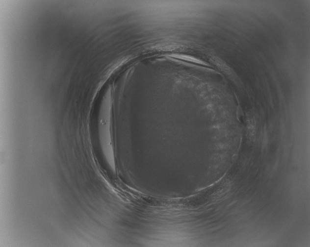 X0000067500626200604211726