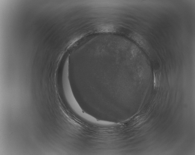 X0000067500627200604211726