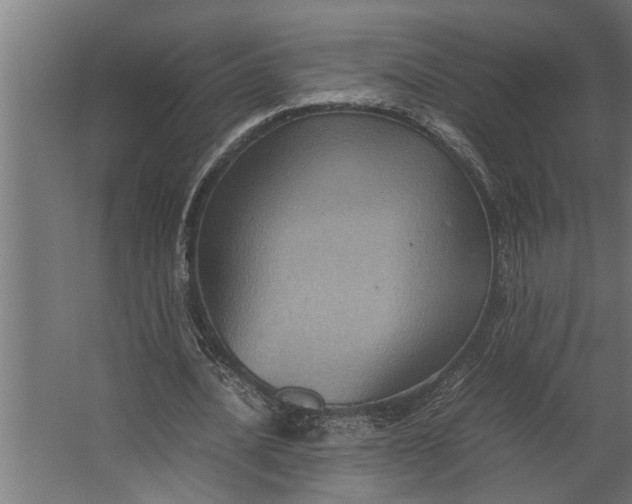 X0000067500628200604211726