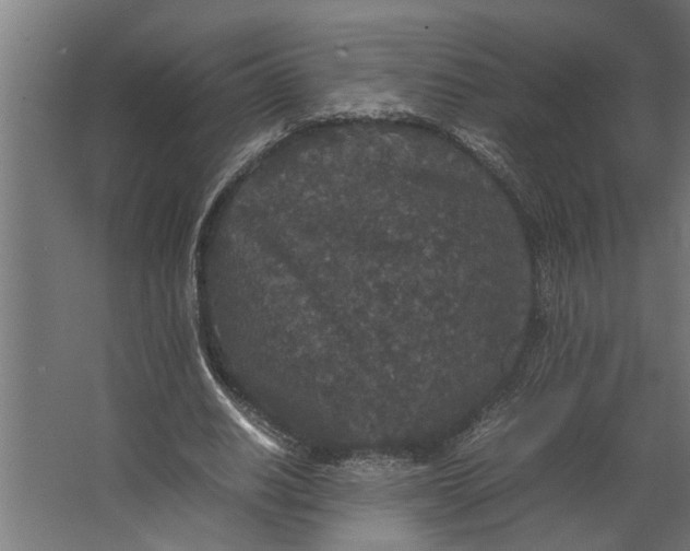 X0000067500630200604211726