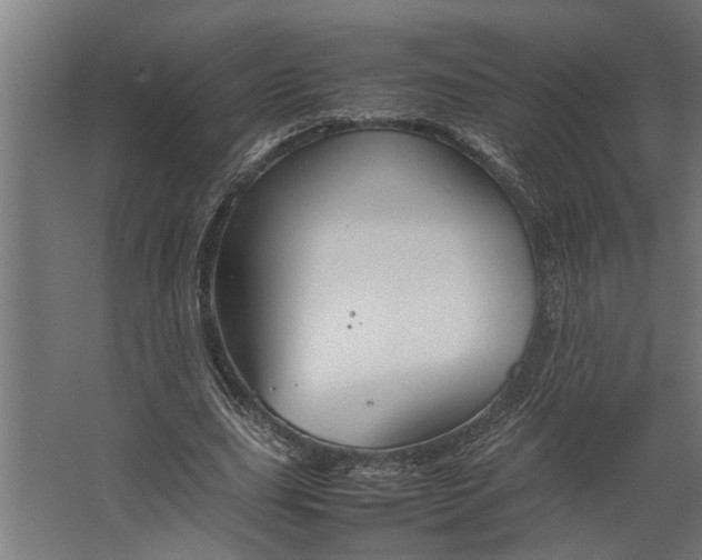 X0000067500631200604211726