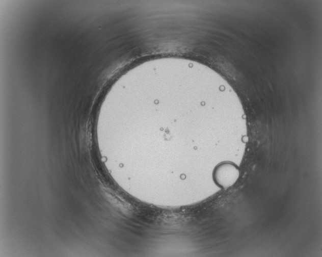 X0000067500632200604211726