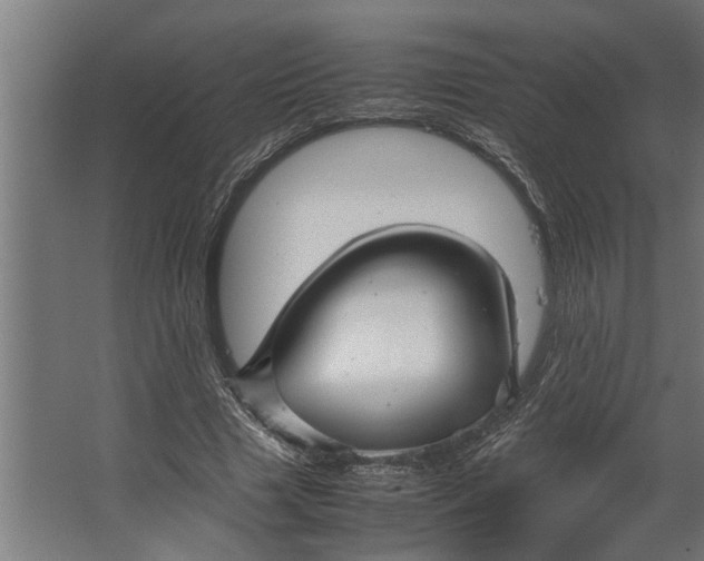 X0000067500633200604211726