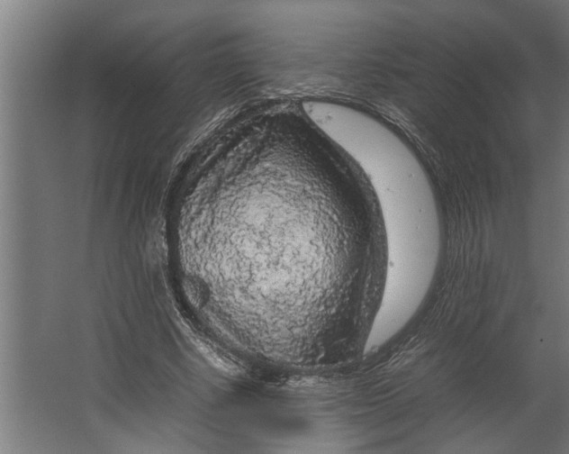 X0000067500634200604211726