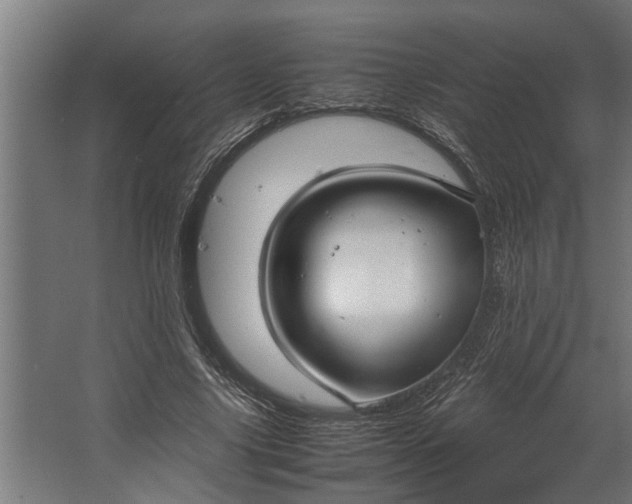 X0000067500635200604211726