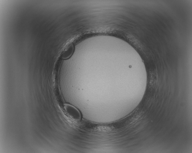 X0000067500636200604211726