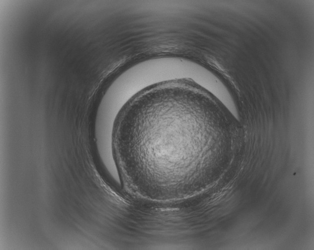 X0000067500637200604211726