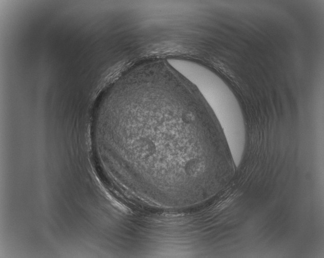 X0000067500638200604211726