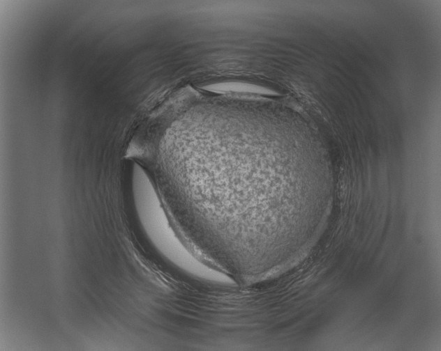 X0000067500639200604211726