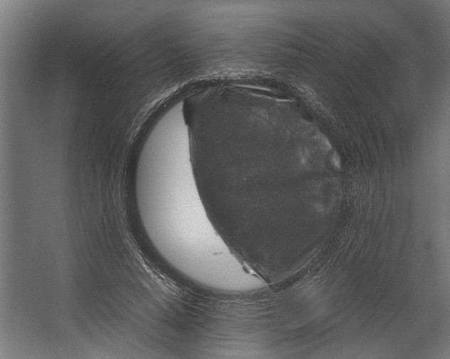 X0000067500640200604211726