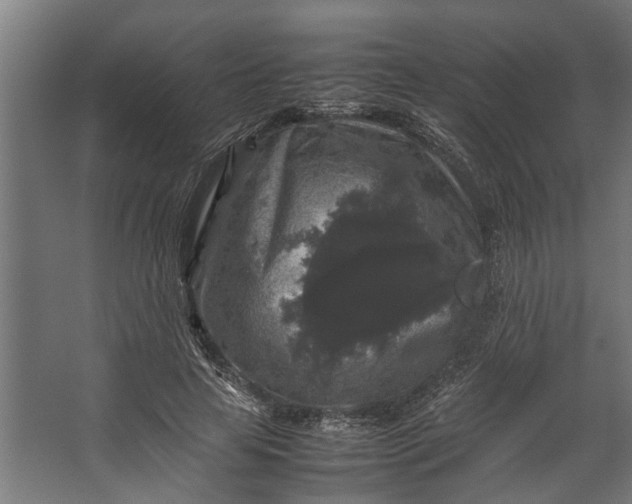 X0000067500641200604211726