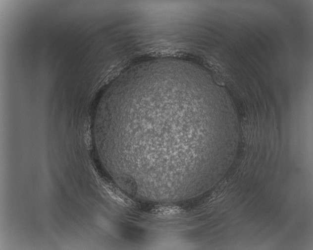 X0000067500642200604211726