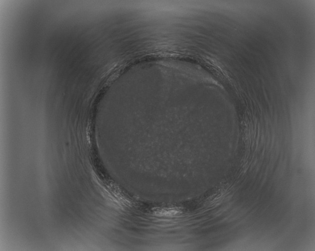 X0000067500643200604211726