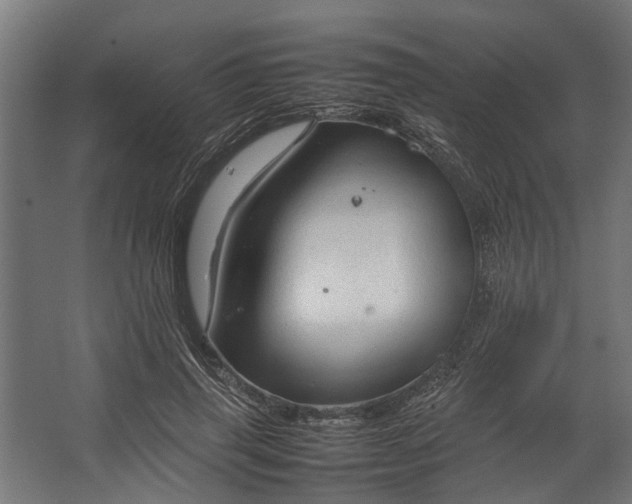 X0000067500645200604211726