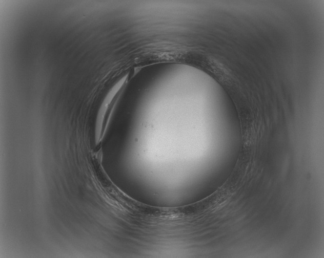 X0000067500646200604211726