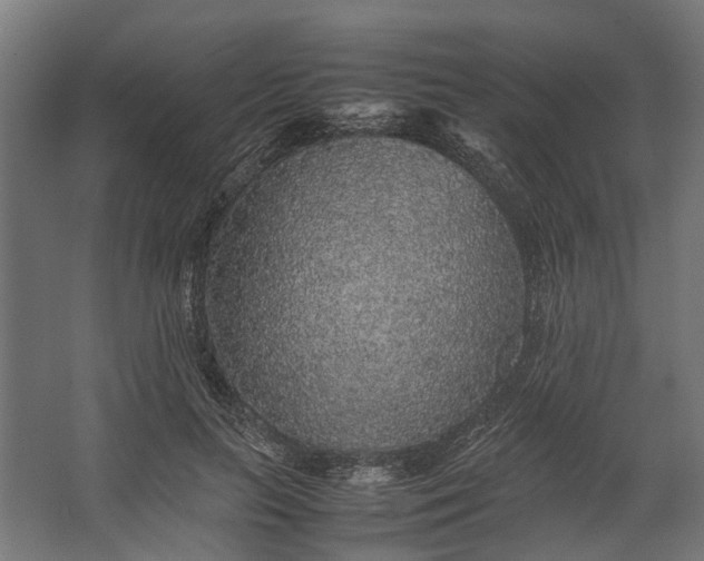 X0000067500647200604211726