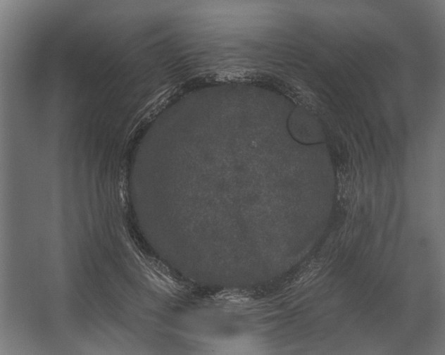 X0000067500648200604211726