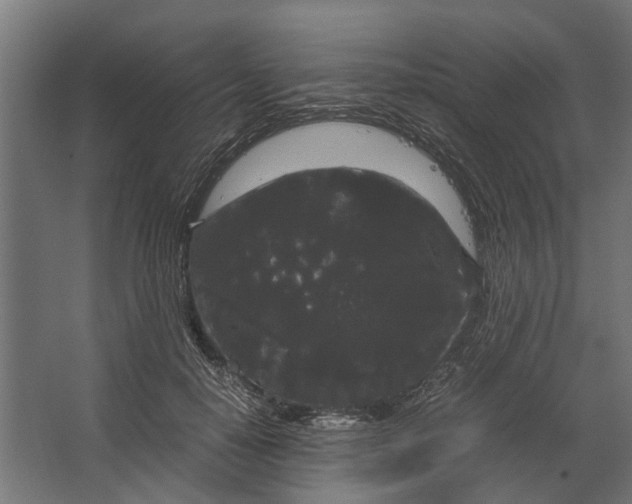 X0000067500650200604211726