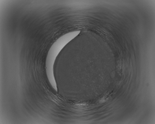 X0000067500653200604211726