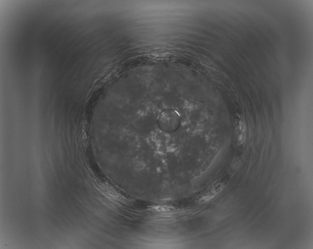 X0000067500654200604211726