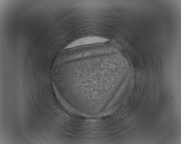 X0000067500655200604211726