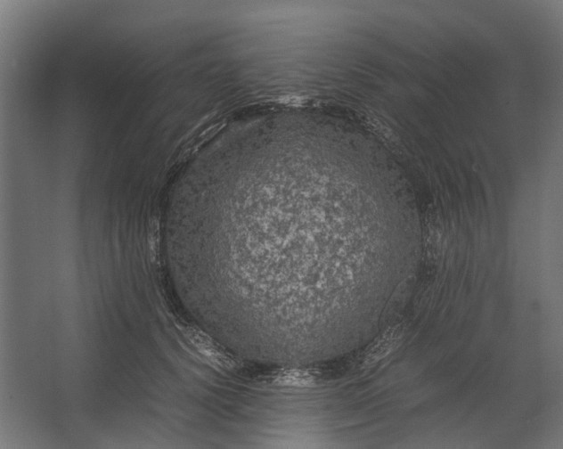 X0000067500656200604211726