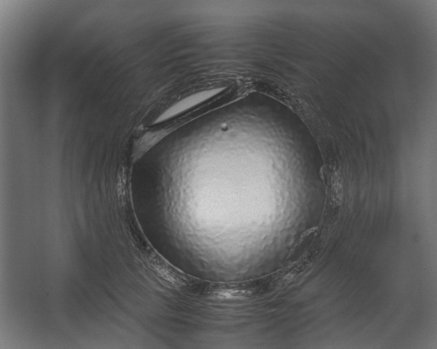 X0000067500657200604211726