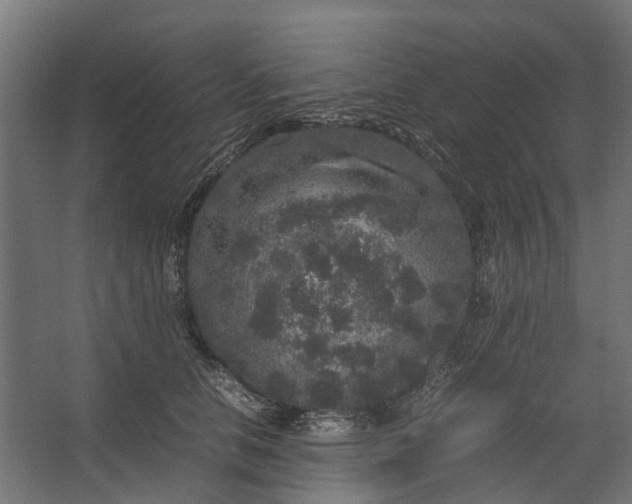 X0000067500658200604211726