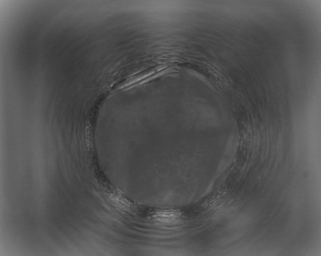 X0000067500659200604211726