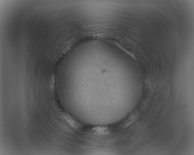 X0000067500660200604211726